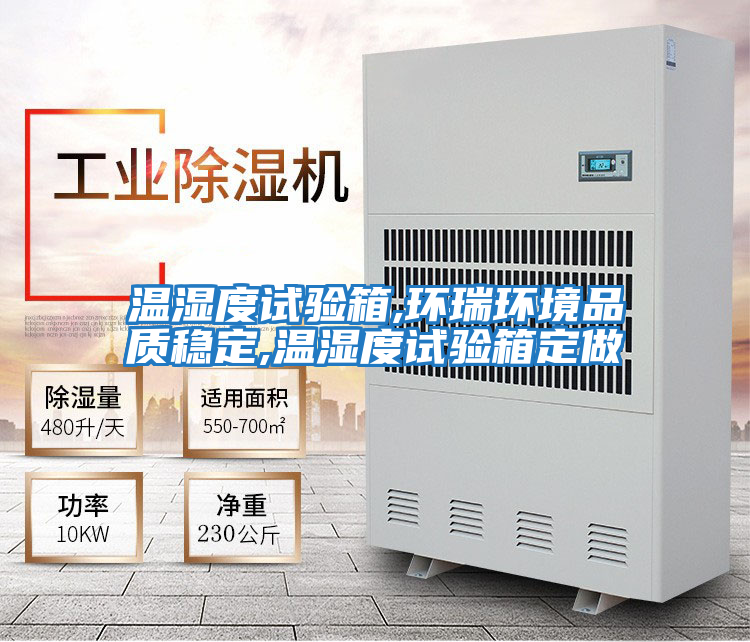 溫濕度試驗箱,環瑞環境品質穩定,溫濕度試驗箱定做