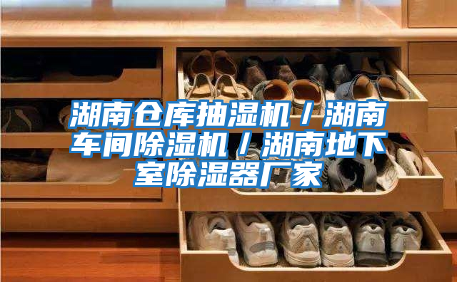 湖南倉庫抽濕機/湖南車間除濕機/湖南地下室除濕器廠家