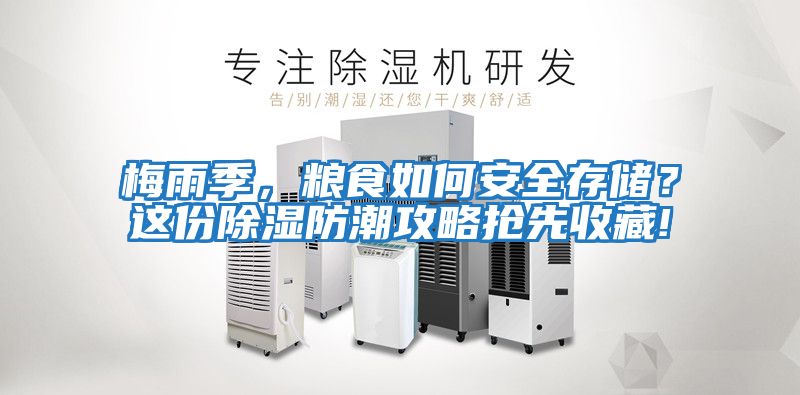 梅雨季，糧食如何安全存儲？這份除濕防潮攻略搶先收藏!
