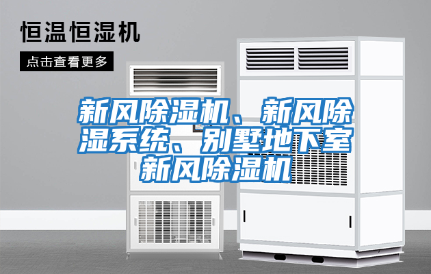 新風除濕機、新風除濕系統、別墅地下室新風除濕機