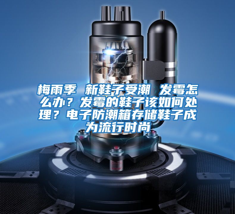 梅雨季 新鞋子受潮 發(fā)霉怎么辦?發(fā)霉的鞋子該如何處理?電子防潮箱存儲鞋子成為流行時(shí)尚