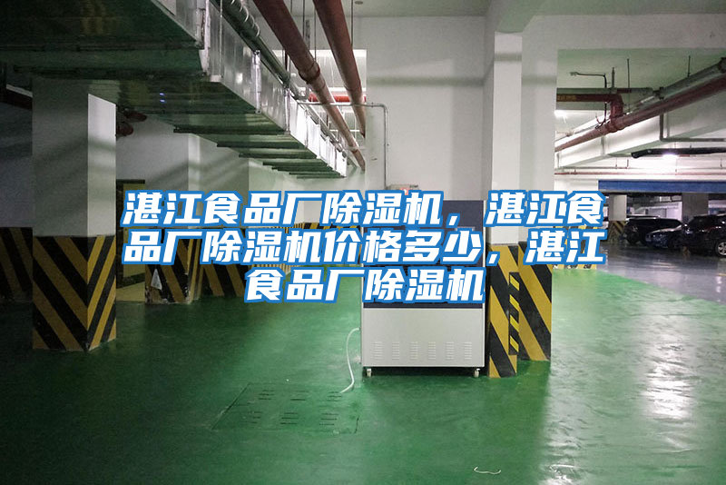 湛江食品廠除濕機，湛江食品廠除濕機價格多少，湛江食品廠除濕機
