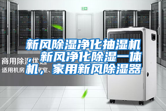 新風(fēng)除濕凈化抽濕機(jī),新風(fēng)凈化除濕一體機(jī),家用新風(fēng)除濕器