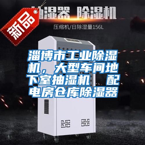 淄博市工業(yè)除濕機,大型車間地下室抽濕機 配電房倉庫除濕器