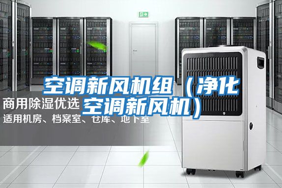 空調新風機組(凈化空調新風機)