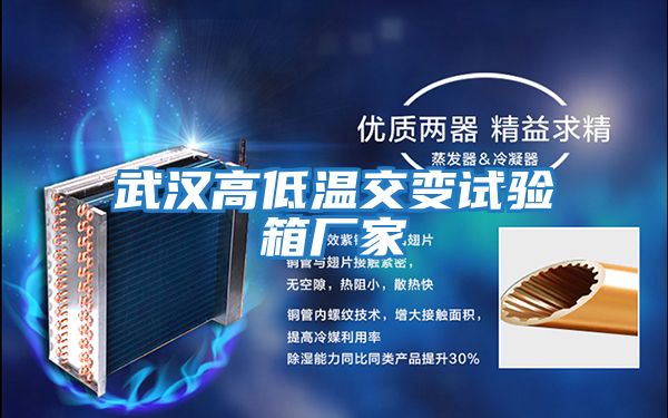 武漢高低溫交變試驗(yàn)箱廠家