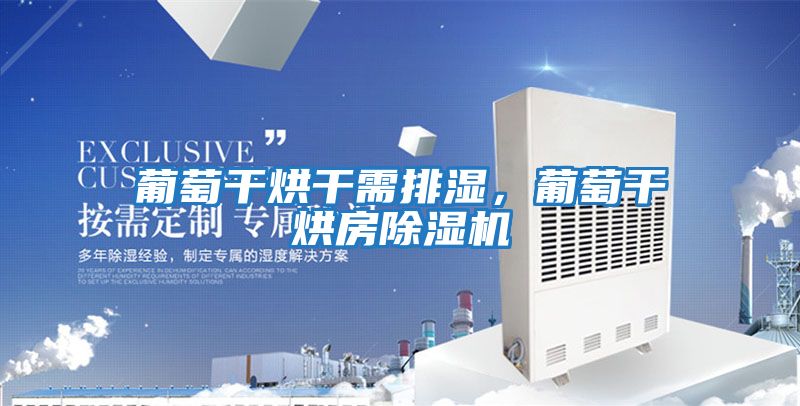 葡萄干烘干需排濕，葡萄干烘房除濕機