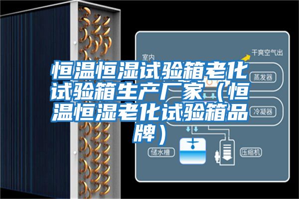 恒溫恒濕試驗箱老化試驗箱生產廠家(恒溫恒濕老化試驗箱品牌)