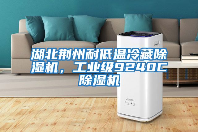 湖北荊州耐低溫冷藏除濕機，工業級9240C除濕機