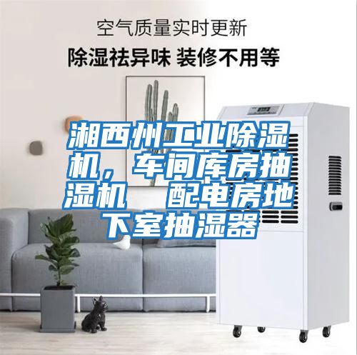 湘西州工業(yè)除濕機(jī),車間庫房抽濕機(jī) 配電房地下室抽濕器