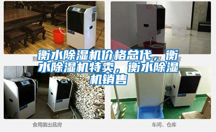 衡水除濕機(jī)價(jià)格總代，衡水除濕機(jī)特賣，衡水除濕機(jī)銷售