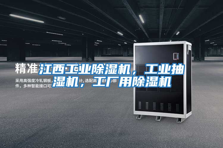 江西工業(yè)除濕機(jī),工業(yè)抽濕機(jī),工廠用除濕機(jī)