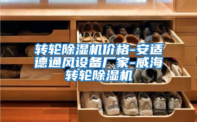 轉輪除濕機價格-安適德通風設備廠家-威海轉輪除濕機