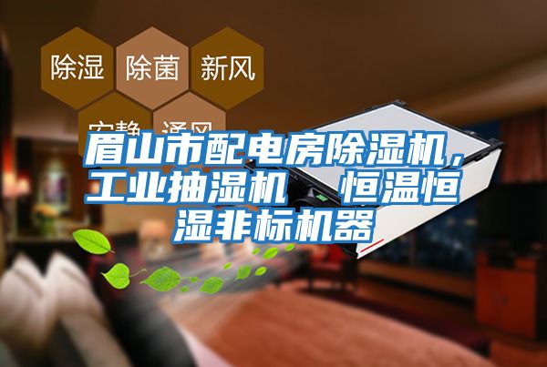 眉山市配電房除濕機,工業抽濕機 恒溫恒濕非標機器
