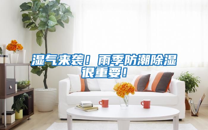 濕氣來襲！雨季防潮除濕很重要！