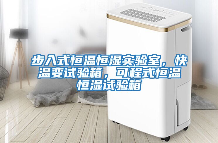 步入式恒溫恒濕實驗室,快溫變試驗箱,可程式恒溫恒濕試驗箱