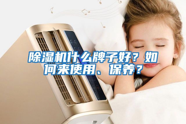 除濕機(jī)什么牌子好?如何來使用、保養(yǎng)?