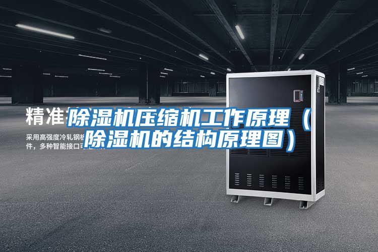 除濕機壓縮機工作原理(除濕機的結構原理圖)