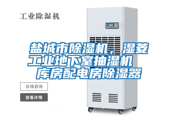 鹽城市除濕機，濕菱工業(yè)地下室抽濕機  庫房配電房除濕器