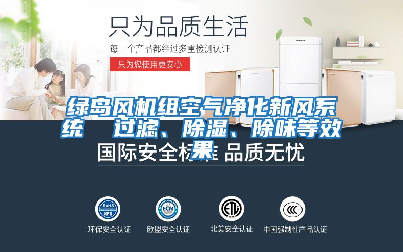 綠島風(fēng)機(jī)組空氣凈化新風(fēng)系統(tǒng)  過濾、除濕、除味等效果