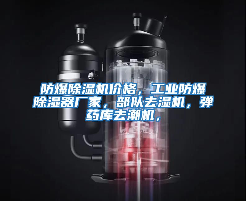 防爆除濕機價格，工業防爆除濕器廠家，部隊去濕機，彈藥庫去潮機，