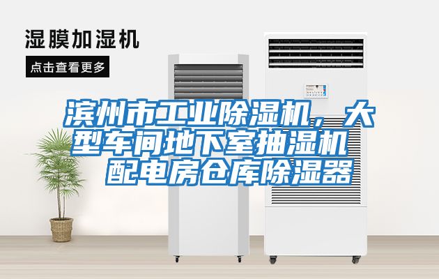 濱州市工業(yè)除濕機，大型車間地下室抽濕機  配電房倉庫除濕器