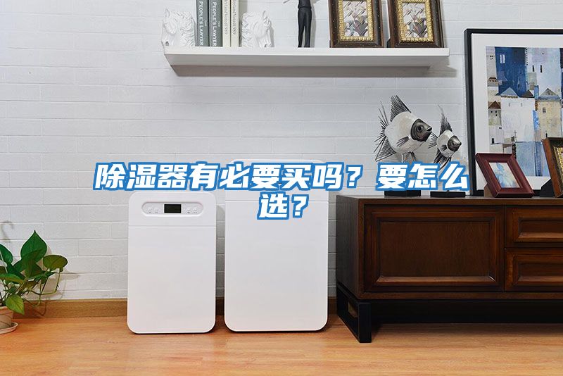 除濕器有必要買嗎？要怎么選？