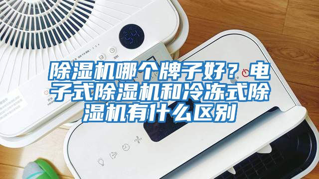 除濕機哪個牌子好？電子式除濕機和冷凍式除濕機有什么區別