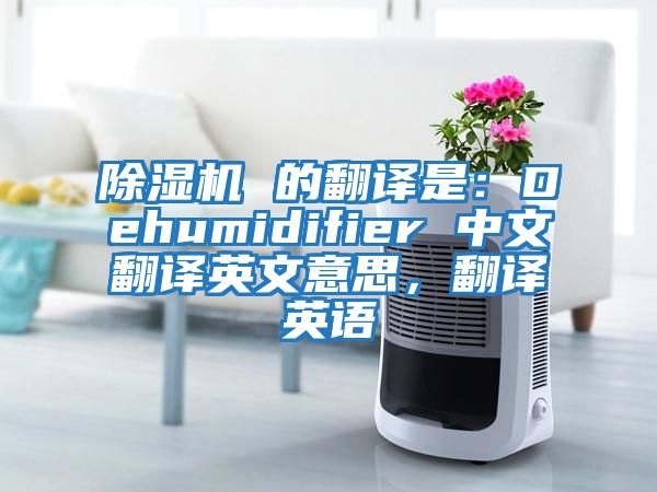 除濕機(jī) 的翻譯是：Dehumidifier 中文翻譯英文意思，翻譯英語