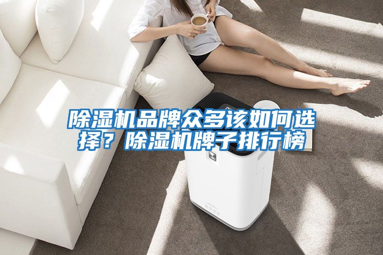 除濕機品牌眾多該如何選擇？除濕機牌子排行榜