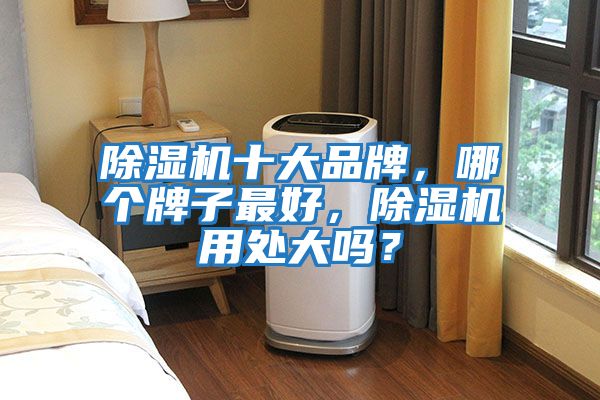 除濕機(jī)十大品牌,哪個牌子最好,除濕機(jī)用處大嗎?