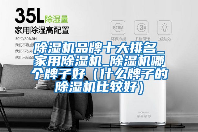 除濕機品牌十大排名_家用除濕機_除濕機哪個牌子好(什么牌子的除濕機比較好)