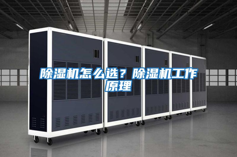 除濕機怎么選?除濕機工作原理