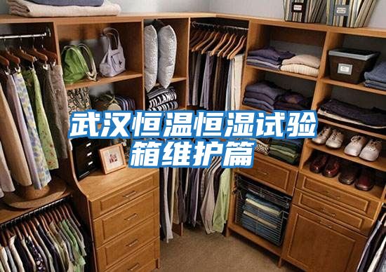 武漢恒溫恒濕試驗箱維護(hù)篇