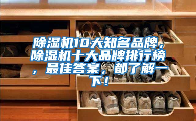 除濕機10大知名品牌,除濕機十大品牌排行榜,最佳答案,都了解一下!