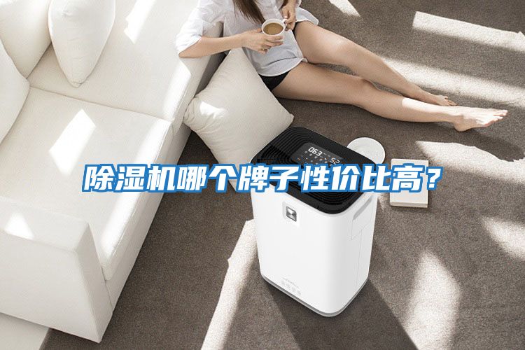 除濕機哪個牌子性價比高?