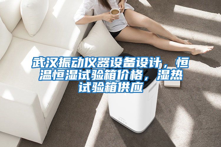 武漢振動儀器設備設計,恒溫恒濕試驗箱價格,濕熱試驗箱供應