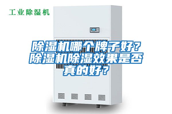 除濕機哪個牌子好？除濕機除濕效果是否真的好？