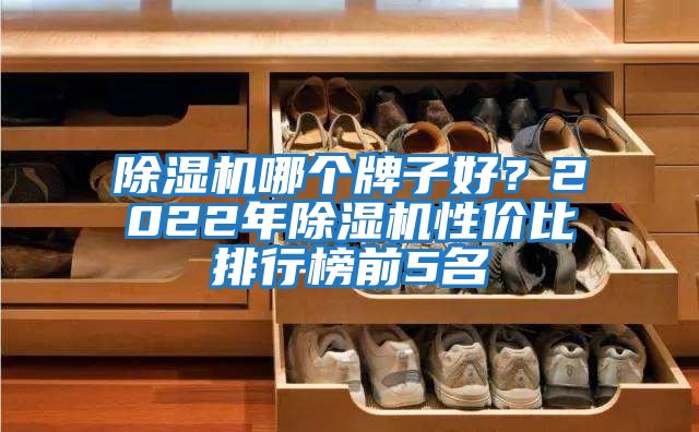 除濕機(jī)哪個(gè)牌子好？2022年除濕機(jī)性價(jià)比排行榜前5名