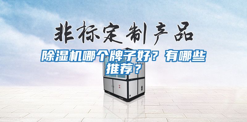 除濕機哪個牌子好？有哪些推薦？
