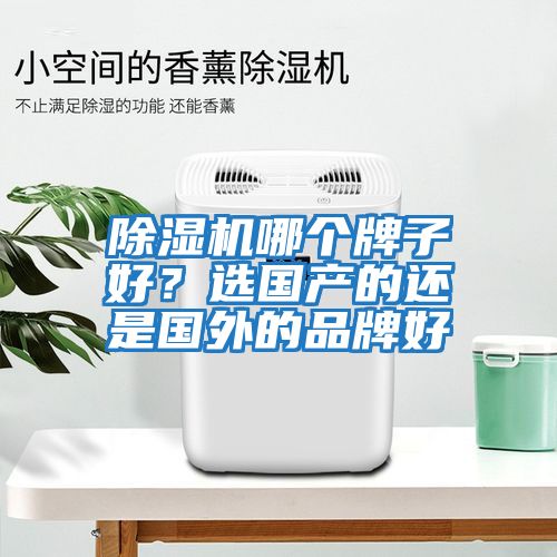 除濕機(jī)哪個牌子好?選國產(chǎn)的還是國外的品牌好