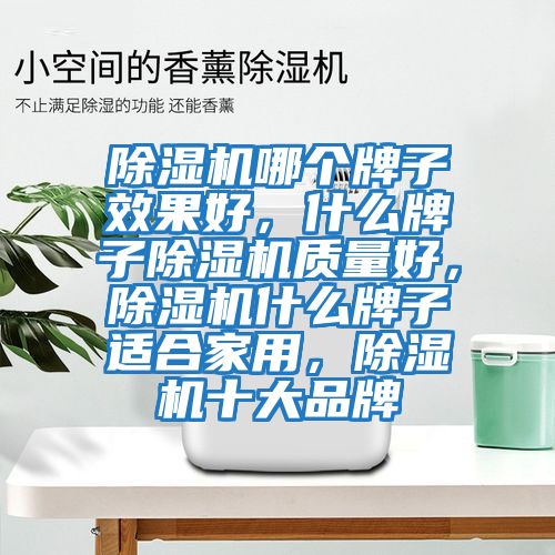 除濕機(jī)哪個(gè)牌子效果好，什么牌子除濕機(jī)質(zhì)量好，除濕機(jī)什么牌子適合家用，除濕機(jī)十大品牌