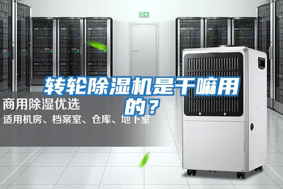 轉(zhuǎn)輪除濕機(jī)是干嘛用的？