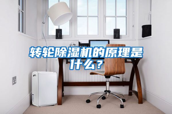 轉輪除濕機的原理是什么？