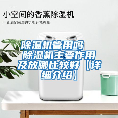 除濕機管用嗎 除濕機主要作用及放哪比較好【詳細介紹】