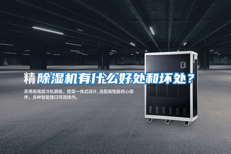 除濕機(jī)有什么好處和壞處?