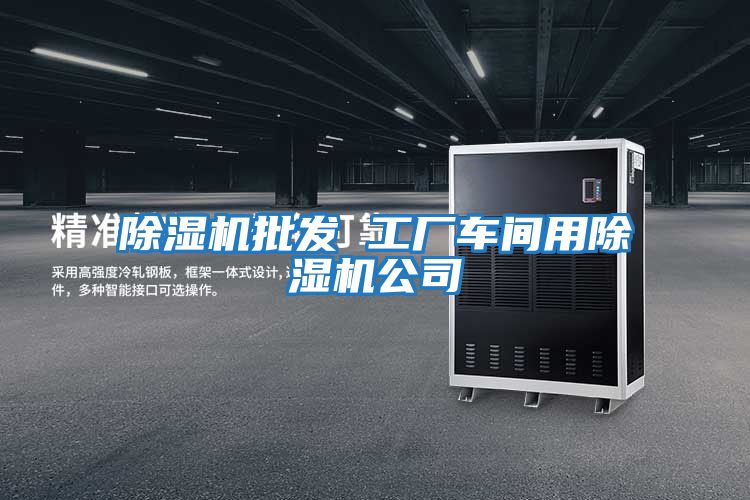 除濕機(jī)批發(fā) 工廠車(chē)間用除濕機(jī)公司