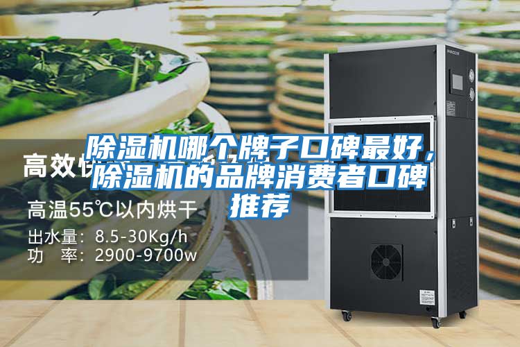 除濕機哪個牌子口碑最好，除濕機的品牌消費者口碑推薦