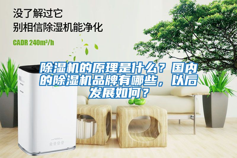 除濕機的原理是什么？國內的除濕機品牌有哪些，以后發展如何？