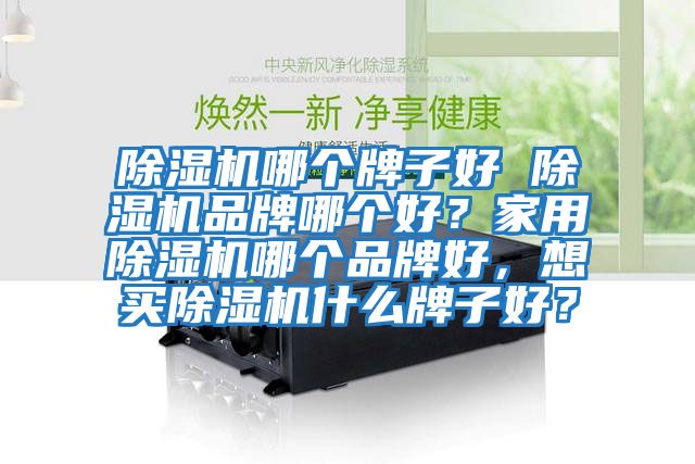 除濕機哪個牌子好 除濕機品牌哪個好？家用除濕機哪個品牌好，想買除濕機什么牌子好？
